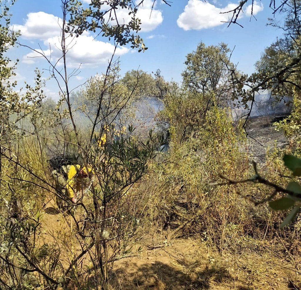Gobierno implementa Plan Nacional de Prevención y Lucha Contra los Incendios
