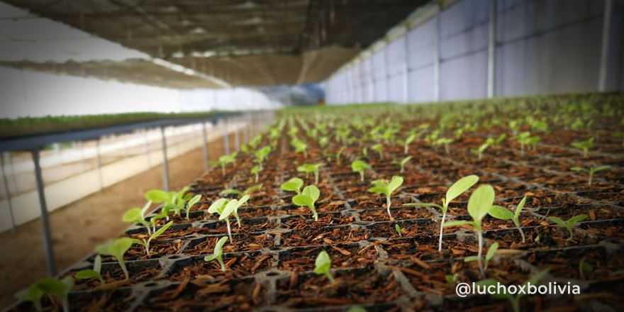 Presidente destaca labor del Iniaf que contribuye a la seguridad alimentaria resguardando derechos sobre 19.766 variedades de alimentos