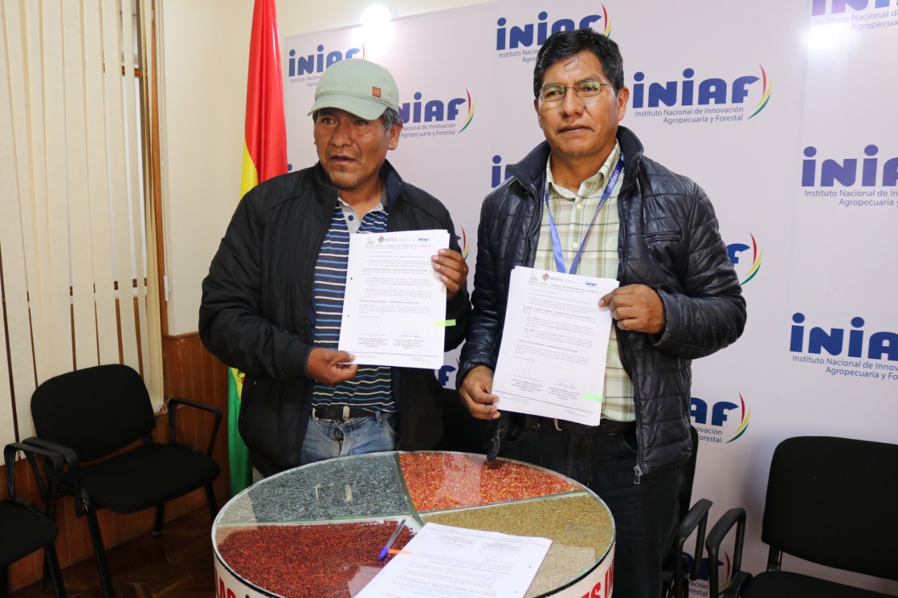 Gobierno promueve producción de semilla de papa de alta calidad genética