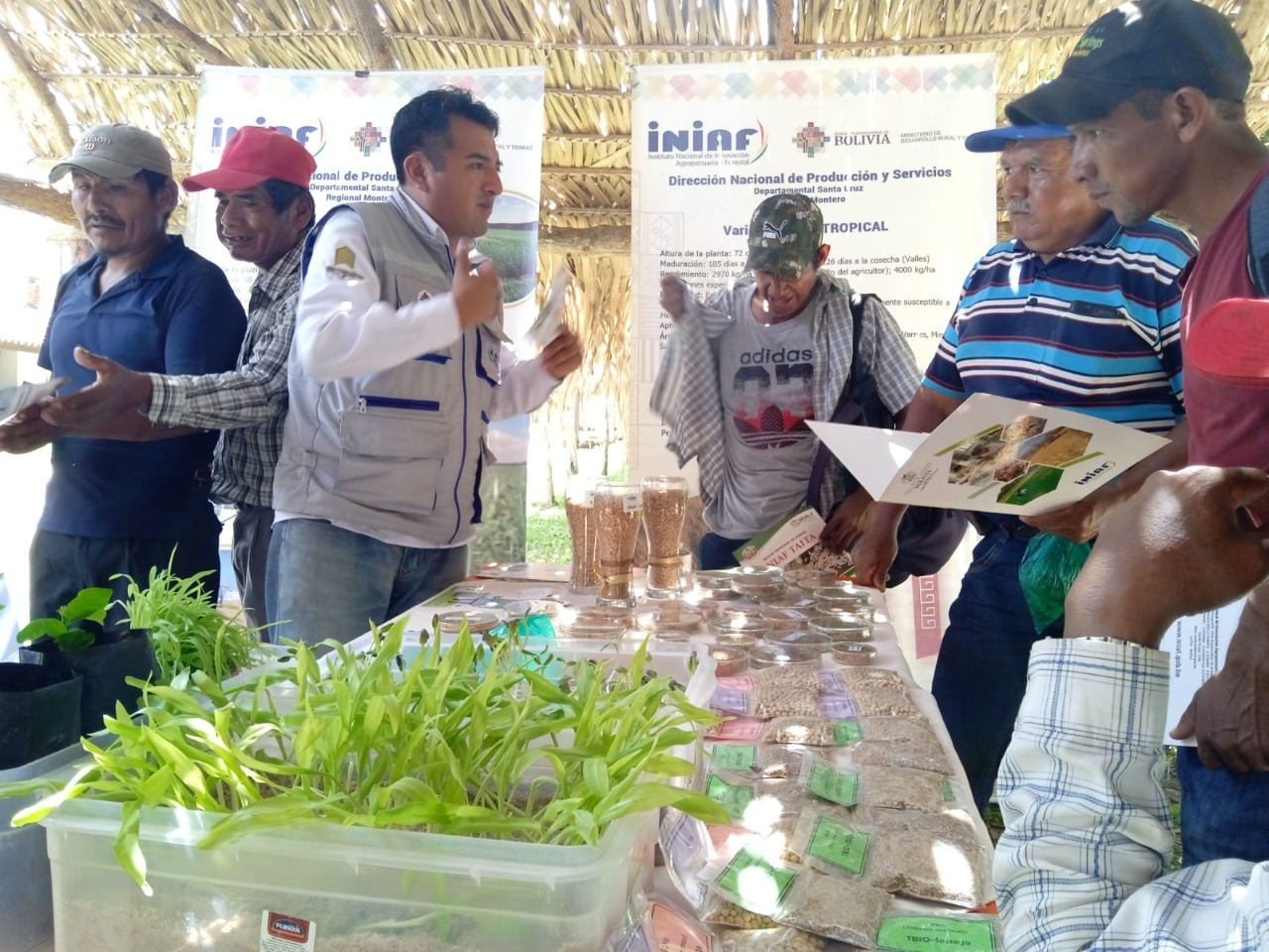 Iniaf certificó 119.000 toneladas de semillas para sembrar 2,1 millones de hectáreas en 2021