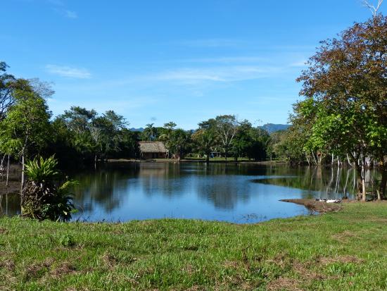 Campaña Madidi: Serecí despliega brigada para sanear documentos y emitir certificados de nacimiento gratuitos