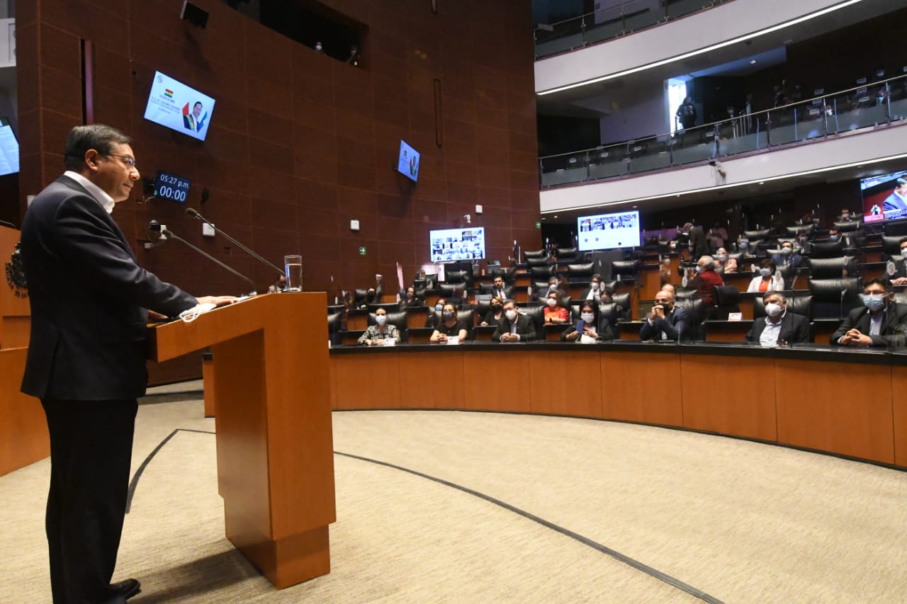 Arce: Los organismos financiadores deben solidarizarse con la lucha contra la pandemia