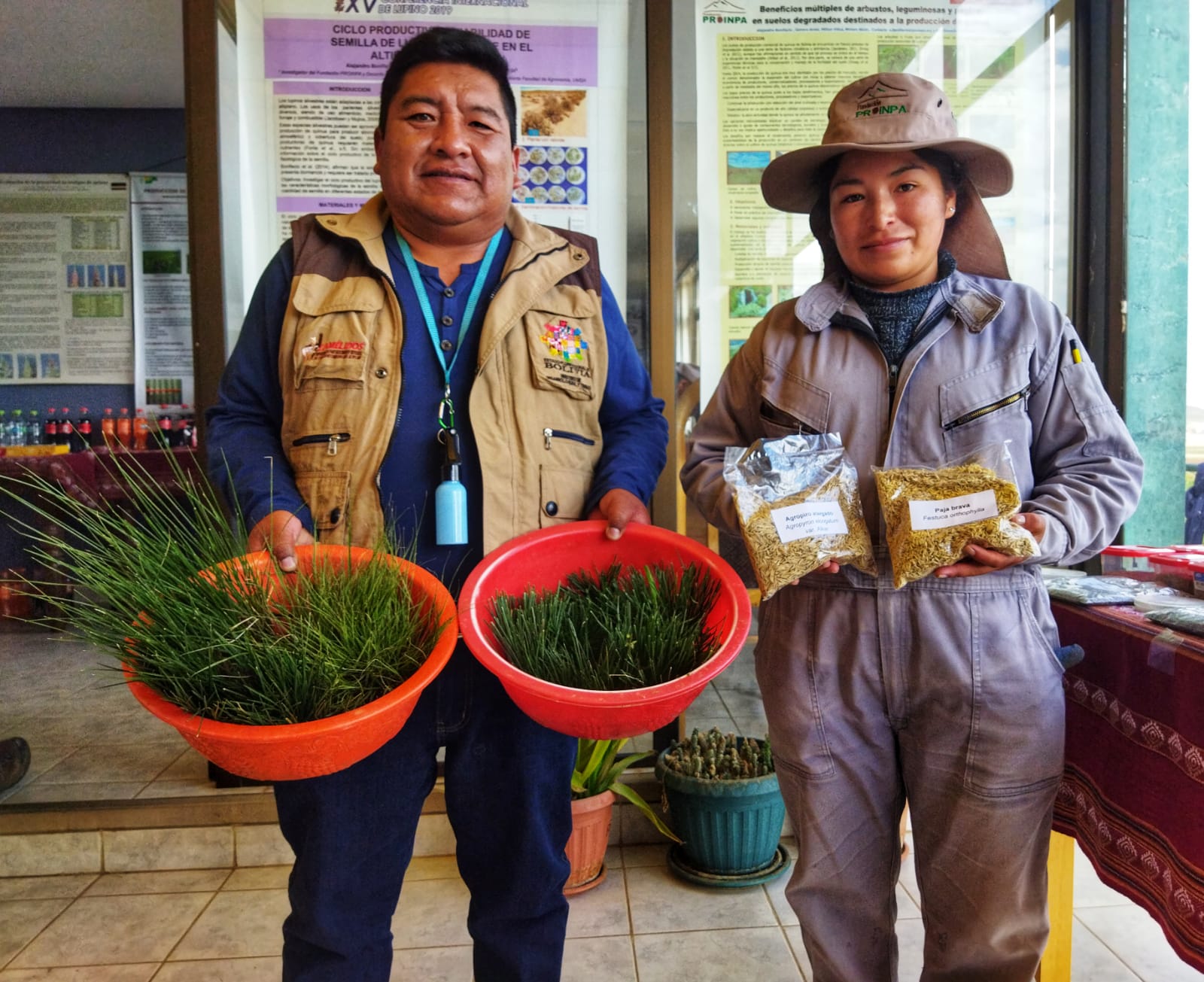 Programa del MDRyT incentiva la producción de ganado camélido a través de capacitaciones