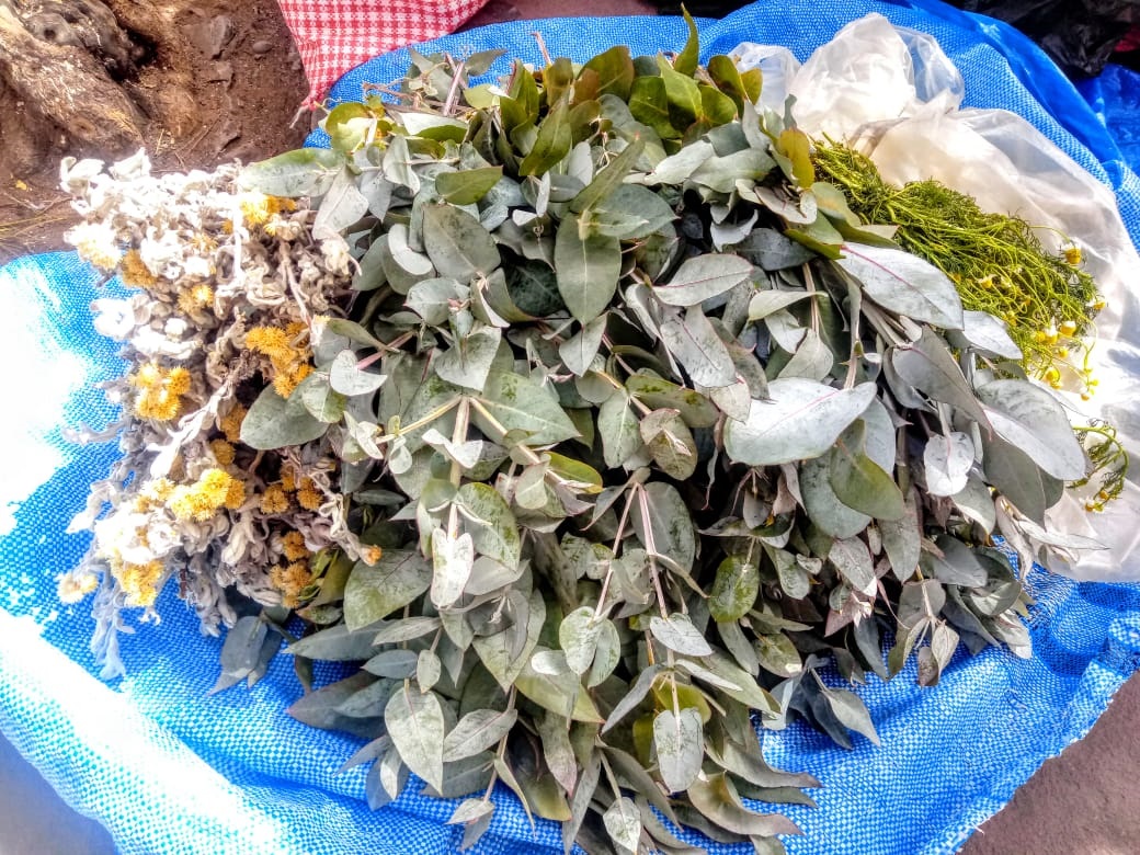 Bolivia reconoce la medicina tradicional y su valor en la lucha contra el COVID-19