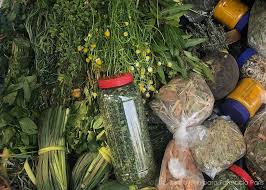 Anuncian feria de plantas y medicinas tradicionales para prevenir el COVID-19