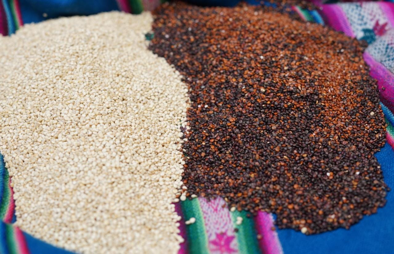 Recomiendan consumo de quinua para enfrentar el COVID-19