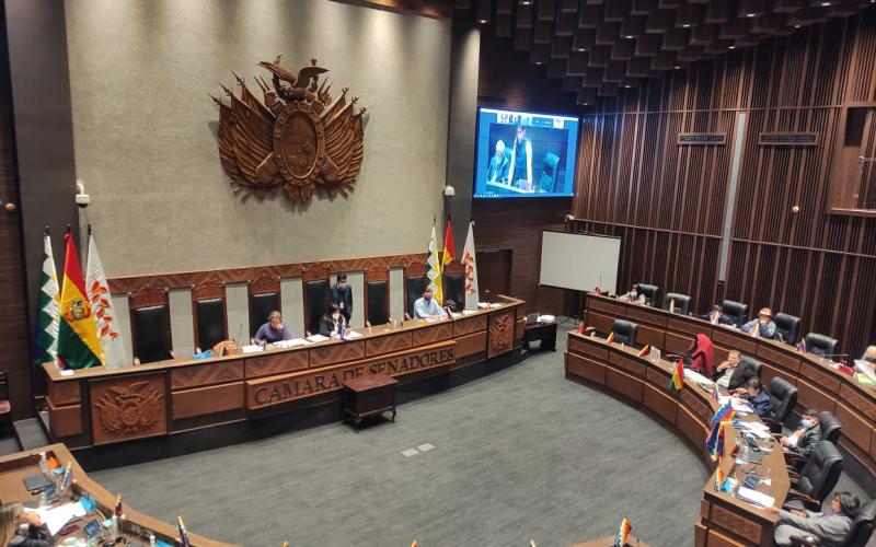 Senado sanciona ley que aprueba el Plan de Desarrollo Económico y Social 2021 - 2025