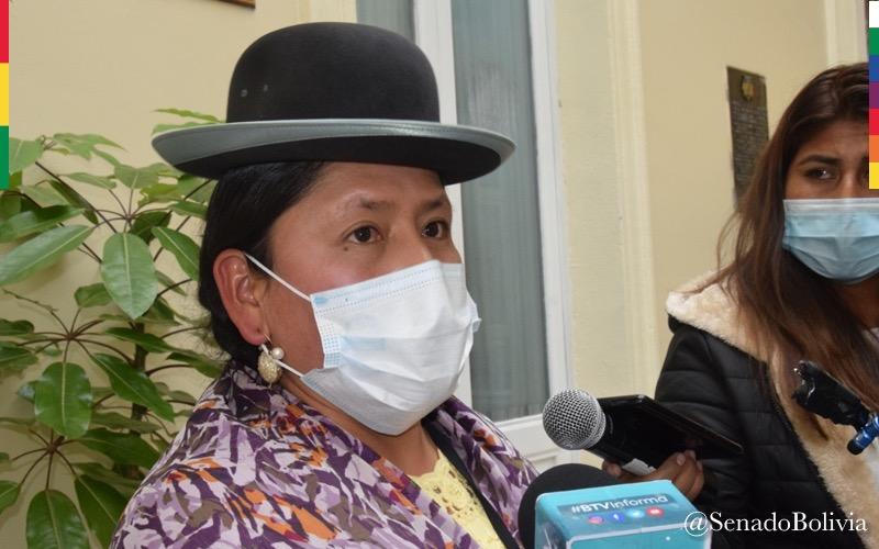 Bancada del MAS en el Senado viabiliza obras para El Alto por su 36 aniversario