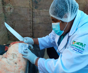 Senasag decomisa carne bovina argentina que no cumplía la norma sanitaria