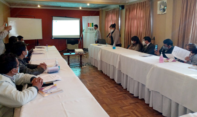 TED Potosí socializa Protocolo de Supervisión a elecciones de la sociedad civil con colegios de profesionales del departamento