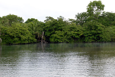 Gobierno moviliza ayuda para comunidades indígenas del Beni afectadas por un turbión