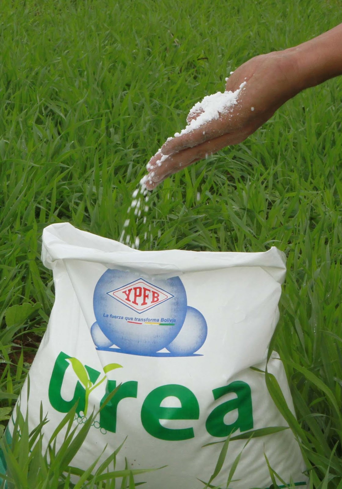 YPFB: Planta de urea cuenta con los insumos para producir bolsas de 50 kilos y de una tonelada