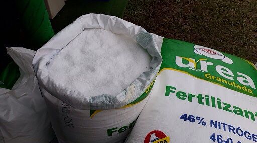 Urea boliviana es 36% más barata y ahorra gastos de producción para el agro nacional