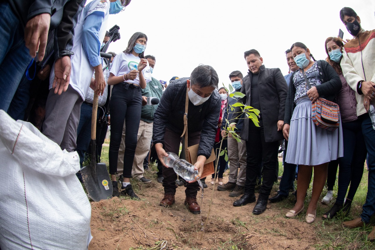 Vicepresidente Choquehuanca encabeza siembra de 4.000 plantines en Warnes