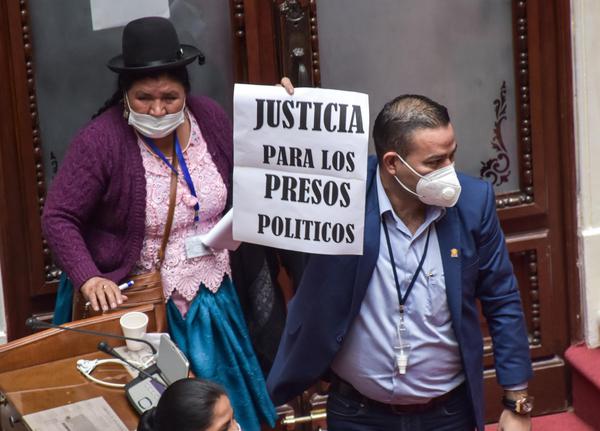 Viceministra de Comunicación: La amnistía e indulto combaten la retardación de justicia