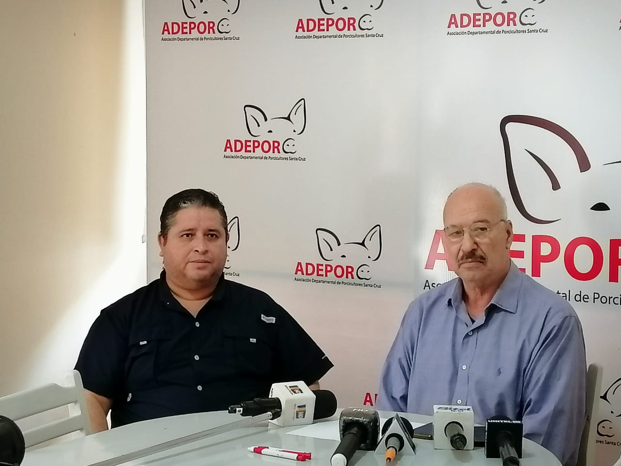 Porcinocultores de Santa Cruz: 20% de las granjas desaparecieron del mercado