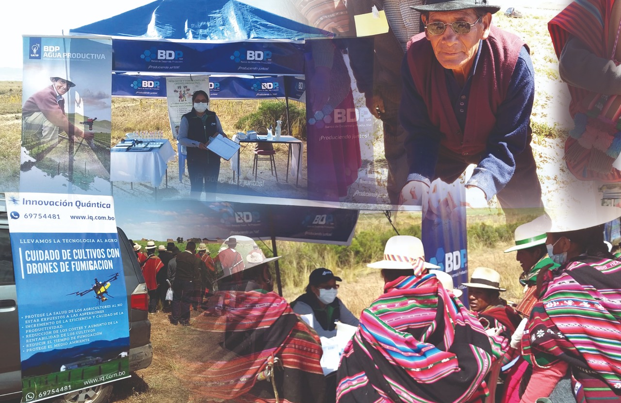 El BDP oferta créditos y brinda asistencia técnica a los productores de papa de Umala